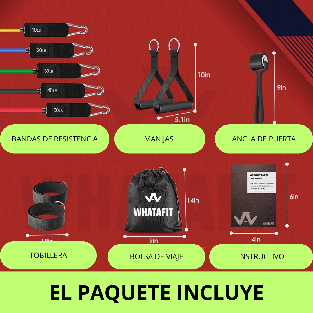 Kit de gomas elásticas Flexband
