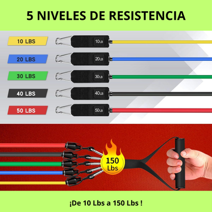 Kit de gomas elásticas Flexband